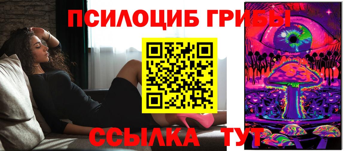 Дзержинск  Галлюциногенные грибы прущие грибы  Вход с VPN 